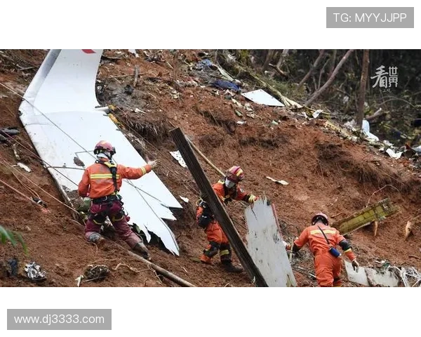 萨拉坠机案终审判决将在3月30日公布 萨拉坠机案终审判决将在3月30日公布